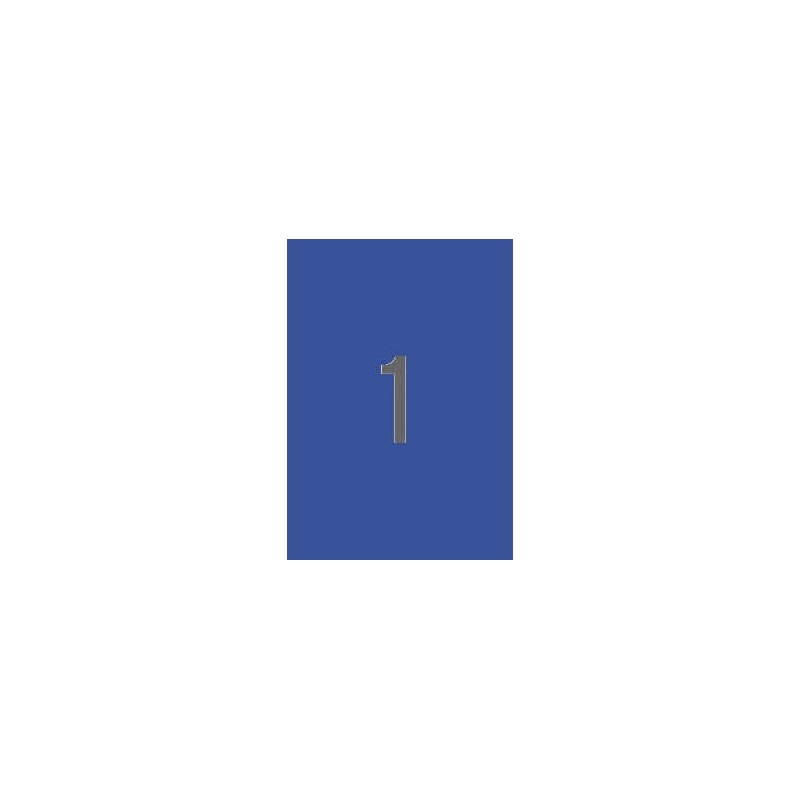 Etichette blu permanenti Apli 210,0 x 297,0 mm 20 fogli Etichette blu permanenti Apli 210,0 x 297,0 mm 20 fogli