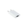 Caricabatterie di rete Mini USB 5V Nanocable - Colore bianco