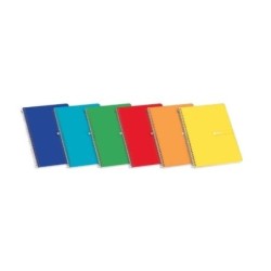Enri Plus Quaderno a spirale formato quarto quadrato 4x4mm - 80 fogli da 60gr - Copertina morbida - Colori assortiti 10pz 10pz