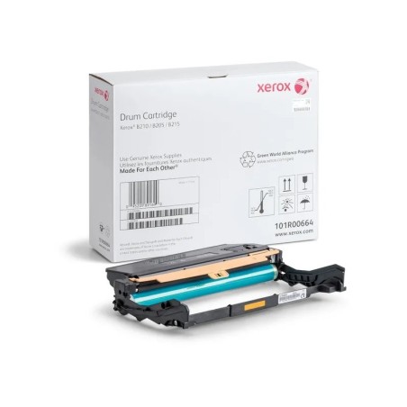 Tamburo di stampa originale nero Xerox B205/B210/B215 - 101R00664 (tamburo)