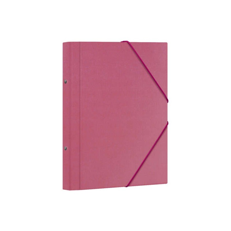 Cartellina classificatrice Dohe 12 dipartimenti - Formato Folio - Cartoncino laminato - Chiusura con elastici - Colore rosa Cartellina classificatrice Dohe 12 dipartimenti - Formato Folio - Cartoncino laminato - Chiusura con elastici - Colore rosa