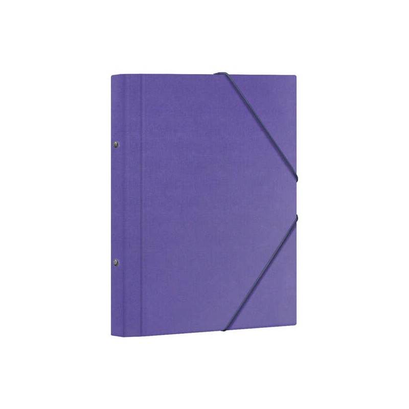 Cartellina classificatrice Dohe 12 dipartimenti - Formato Folio - Cartoncino laminato - Chiusura con elastici - Colore viola Cartellina classificatrice Dohe 12 dipartimenti - Formato Folio - Cartoncino laminato - Chiusura con elastici - Colore viola