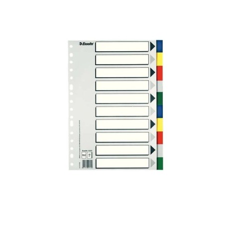 Esselte 713 Busta da 10 divisori in plastica - 10 compresse / 5 colori - Multiforo - Formato Folio