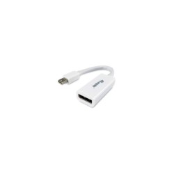 Equipaggia l'adattatore Mini DisplayPort maschio a DisplayPort femmina