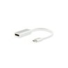 Equipaggia l'adattatore USB-C maschio a DisplayPort femmina