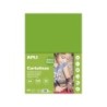 Cartoncino Apli Erba Verde A4 170 g 50 fogli