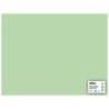 Cartoncino Apli verde smeraldo 50 x 65 cm 170 g 25 fogli