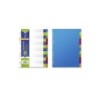 Confezione da 12 divisori Bismark - Formato A4 - Extra spessi - Realizzati in propilene - Colori assortiti