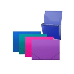 Erichkrause Pack de 4 Clasificadores Matt Vivid - 12 Fundas - Tamaño A4 - Colores Surtidos