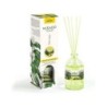 Prady Lady of the Night Mikado Deodorante per ambienti - Flacone in vetro da 100 ml e bacchette diffusori