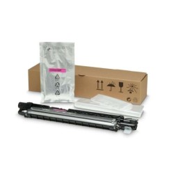 Unità di sviluppo magenta originale HP - 8JM73A