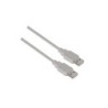 Cavo USB 2.0 Aisens - Tipo A maschio a maschio - 1,0 m - Colore beige