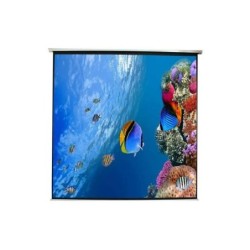 Schermo per proiezione da parete circa 240x240 cm 135" Elettrico - Telecomando - Per soffitto o parete