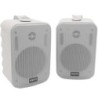Altoparlanti amplificati da circa 30 W - Griglia in metallo - 2 RCA, 1 linea - Include staffa da parete