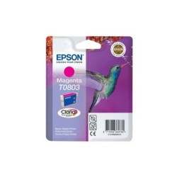 Cartuccia d'inchiostro originale Epson T0803 magenta - C13T08034011