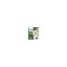 Cartuccia d'inchiostro originale Epson T1812 (18XL) ciano - C13T18124012