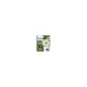 Cartuccia d'inchiostro originale magenta Epson T1813 (18XL) - C13T18134012