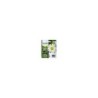 Cartuccia d'inchiostro originale gialla Epson T1814 (18XL) - C13T18144012