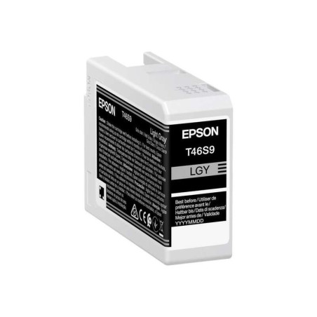Cartuccia d'inchiostro originale Epson T46S9 grigio chiaro - C13T46S900