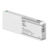 Cartuccia d'inchiostro originale Epson C13T55K700 nero chiaro - C13T55K700