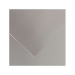 Canson Guarro Confezione da 25 Carte Iris da 185g - 50x65cm - Colore Argento