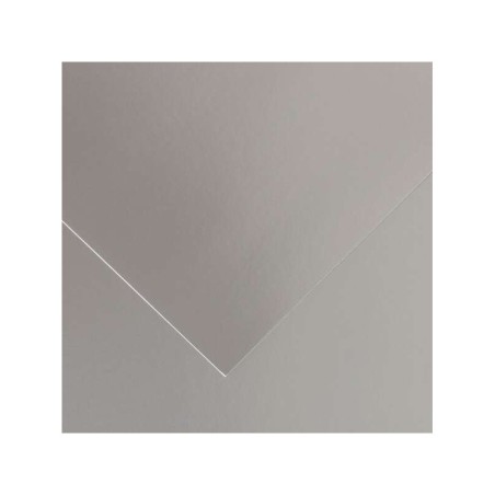 Canson Guarro Pack de 25 Cartulinas Iris de 185g - 50x65cm - Color Plata