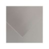 Canson Guarro Pack de 25 Cartulinas Iris de 185g - 50x65cm - Color Plata