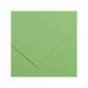 Canson Guarro Pack de 25 Cartulinas Iris de 185g - 50x65cm - Color Verde Manzana