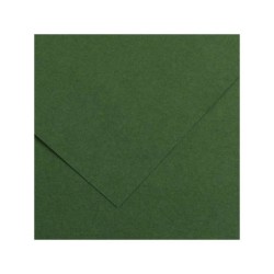 Canson Guarro Pack de 25 Cartulinas Iris de 185g - 50x65cm - Color Verde Amazonas