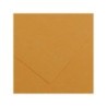 Canson Guarro Pack de 25 Cartulinas Iris de 185g - 50x65cm - Color Cuero