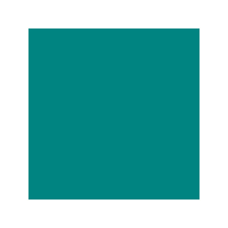 Canson Guarro Pack de 25 Cartulinas Iris de 185g - 50x65cm - Color Verde Menta