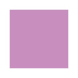 Canson Guarro Confezione da 25 Carte Iris da 185g - 50x65cm - Colore Malva