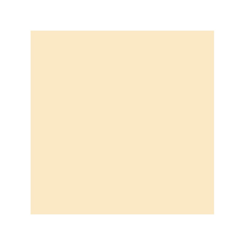 Canson Guarro Confezione da 25 Carte Iris da 185g - 50x65cm - Colore Guscio D'Uovo Canson Guarro Confezione da 25 Carte Iris da 185g - 50x65cm - Colore Guscio D'Uovo
