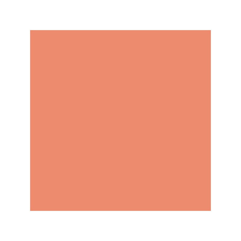 Canson Guarro Pack de 25 Cartulinas Iris de 185g - 50x65cm - Color Coral Canson Guarro Pack de 25 Cartulinas Iris de 185g - 50x65cm - Color Coral