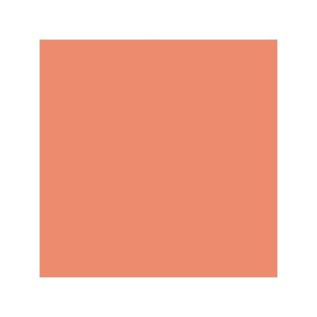 Canson Guarro Pack de 25 Cartulinas Iris de 185g - 50x65cm - Color Coral