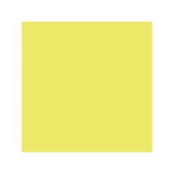 Canson Guarro Pack de 25 Cartulinas Iris de 185g - 50x65cm - Color Kiwi