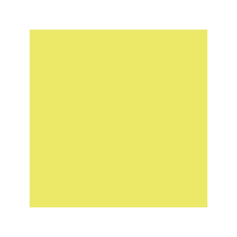 Canson Guarro Confezione da 25 Carte Iris da 185g - 50x65cm - Colore Kiwi Canson Guarro Confezione da 25 Carte Iris da 185g - 50x65cm - Colore Kiwi
