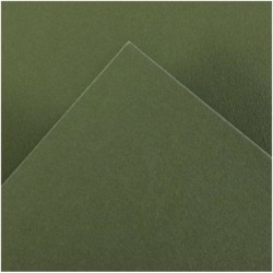 Canson Guarro Confezione da 25 Carte Iris da 185g - 50x65cm - Colore Verde Safari