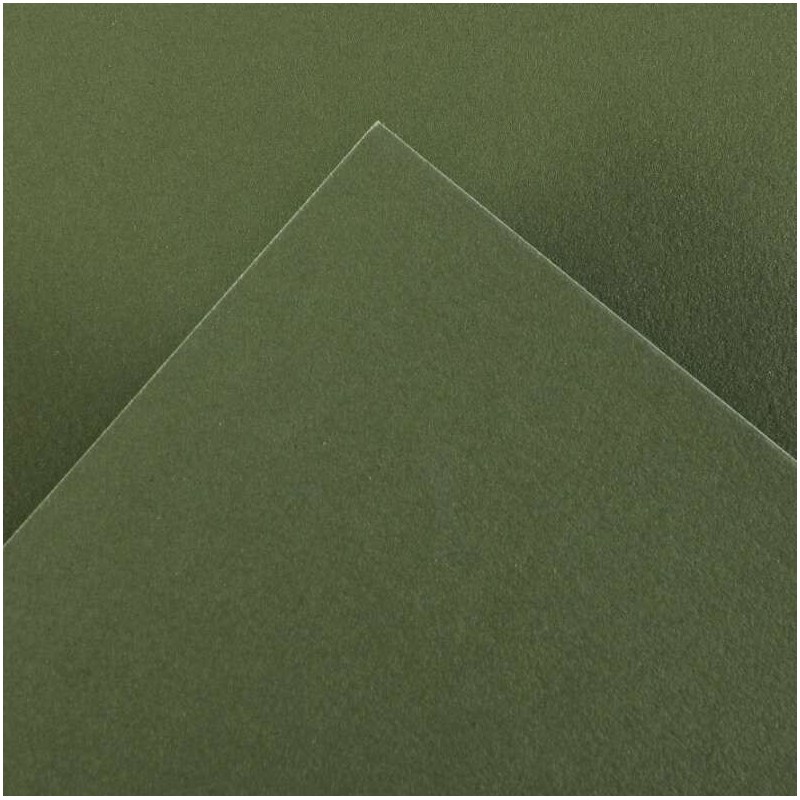 Canson Guarro Confezione da 25 Carte Iris da 185g - 50x65cm - Colore Verde Safari Canson Guarro Confezione da 25 Carte Iris da 185g - 50x65cm - Colore Verde Safari