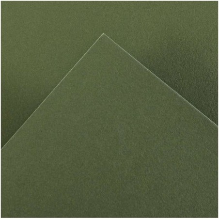 Canson Guarro Confezione da 25 Carte Iris da 185g - 50x65cm - Colore Verde Safari