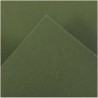 Canson Guarro Confezione da 25 Carte Iris da 185g - 50x65cm - Colore Verde Safari