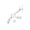 Tooq Soporte Mesa Pant Giratorio Inclinacion 2 Brazos 17-32" - Color Blanco