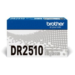 Tamburo per immagini originali Brother DR2510 (tamburo)