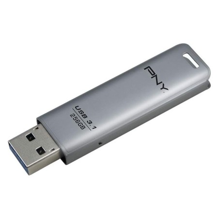 Chiavetta USB 3.1 PNY Elite Steel da 256 GB - Finitura in metallo - Clip portachiavi - Colore acciaio (Pendrive)
