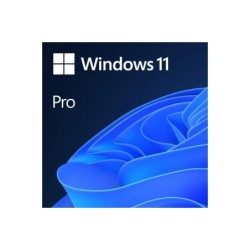 Microsoft Windows 11 Professional 64 bit OEM