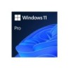 Microsoft Windows 11 Professional 64 bit OEM