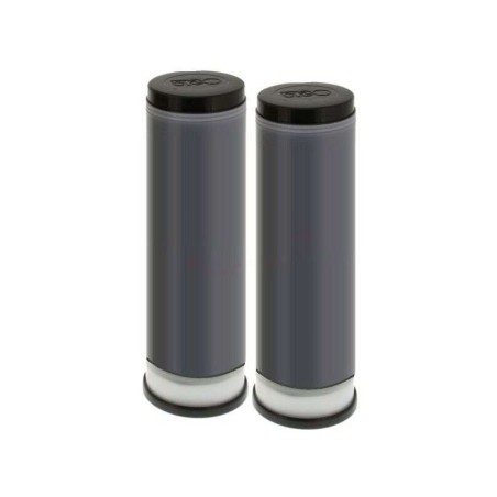 Riso S8113E Pack de 2 Cartuchos de Tinta Originales