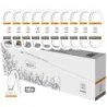 TechOneTech Basik Confezione da 10 Cavi USB-A Maschio - USB-C Maschio - Lunghezza 1m